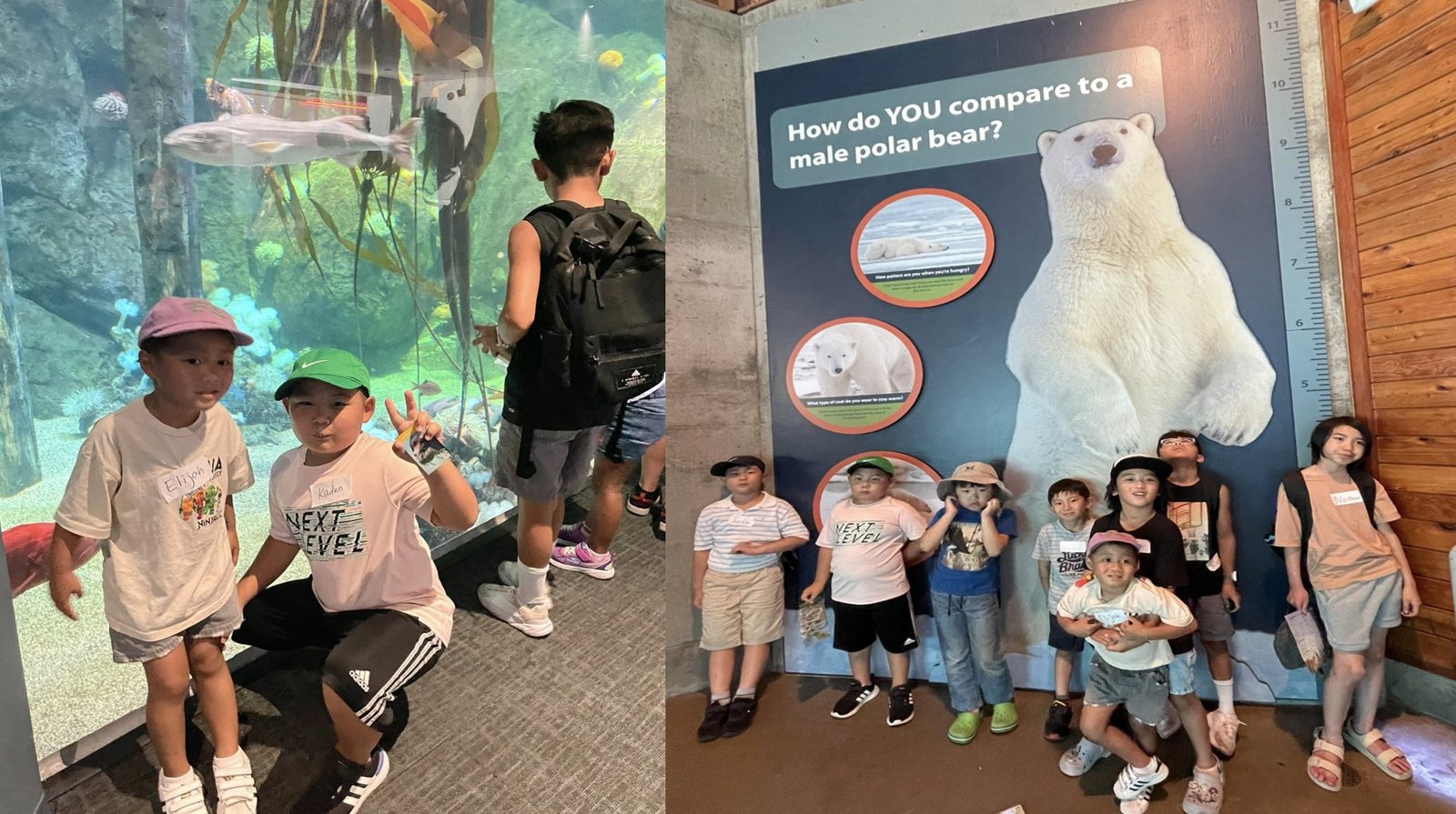 A group photo at the aquarium